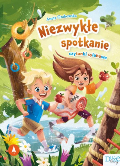 Niezwykłe spotkanie. Czytanki sylabowe