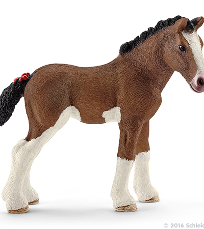 Źrebię rasy Clydesdale SLH13810